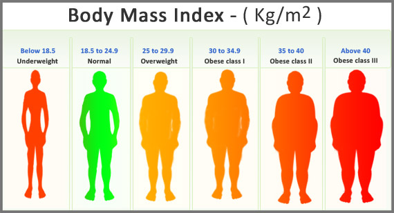 Louisiana Surgeons Of Excellence Calculate My BMI